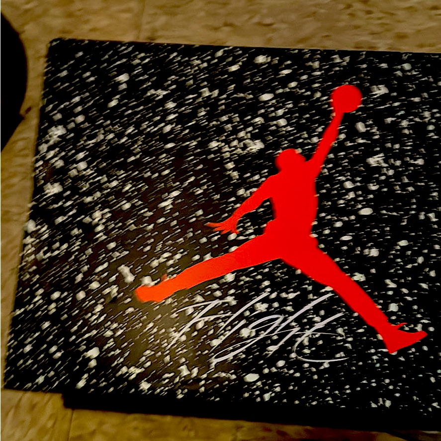 Official Jordan Spizikes